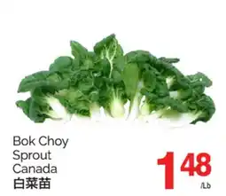 T&T Supermarket BOK CHOY SPROUT offer