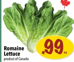Farm Boy Romaine Lettuce offer