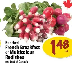 Farm Boy Bunched French Breakfast or Multicolour Radishes offer
