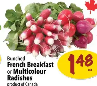 Farm Boy Bunched French Breakfast or Multicolour Radishes offer