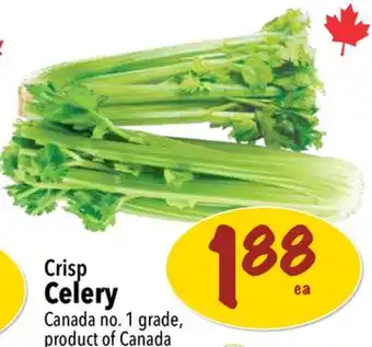 Farm Boy Crisp Celery offer