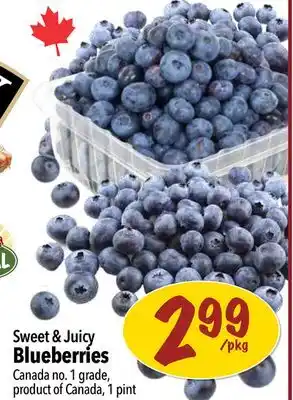 Farm Boy Sweet & Juicy Blueberries offer