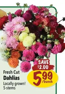Farm Boy Fresh Cut Dahlias offer