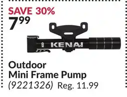 Princess Auto Outdoor Mini Frame Pump offer