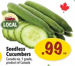Farm Boy Seedless Cucumbers offer