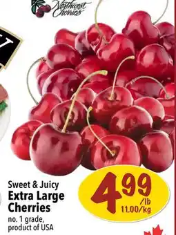 Farm Boy Sweet & Juicy Extra Large Cherries offer