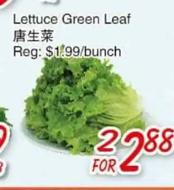 Foody Mart Lettuce Green Leaf offer