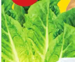 Giant Tiger 3 pack romaine hearts offer