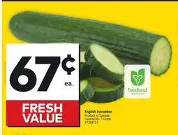 Giant Tiger English cucumber offer