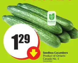 FreshCo Seedless Cucumbers Product of Ontario Canada No. 1 offer