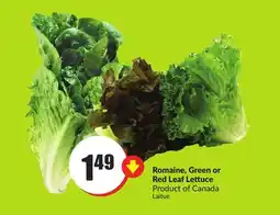 FreshCo Romaine, Green or Red Leaf Lettuce Product of Canada offer