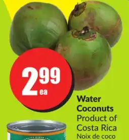 FreshCo Water Coconuts Product of Costa Rica offer