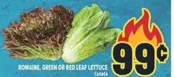 Marché Adonis ROMAINE, GREEN OR RED LEAF LETTUCE offer
