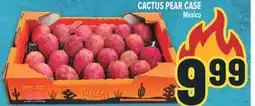 Marché Adonis CACTUS PEAR CASE offer