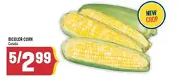 Marché Adonis BICOLOR CORN offer