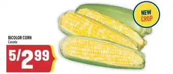 Marché Adonis BICOLOR CORN offer