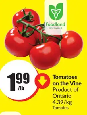 Chalo FreshCo Tomatoes on the Vine Product of Ontario 4.39/kg offer
