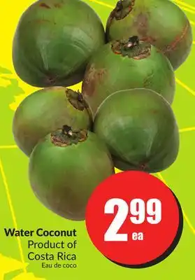 Chalo FreshCo Water Coconut Product of Costa Rica offer