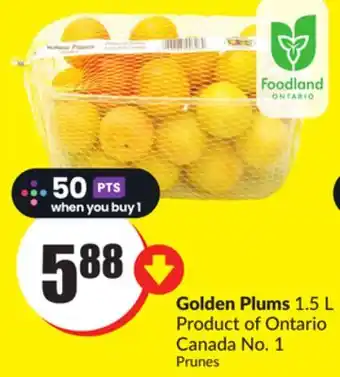 Chalo FreshCo Golden Plums 1.5 L Product of Ontario Canada No. 1 offer