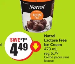 Chalo FreshCo Natrel Lactose Free Ice Cream 473 mL offer