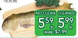 Ample Food Market Tile Grouper offer