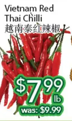 Ample Food Market Vietnam Red Thai Chilli offer