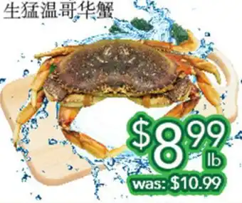 Ample Food Market Live BC Crab offer