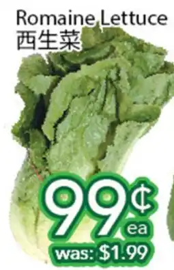 Ample Food Market Romaine Lettuce offer