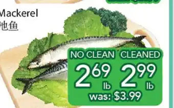 Ample Food Market Mackerel offer