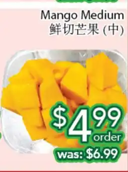 Ample Food Market Mango Medium offer