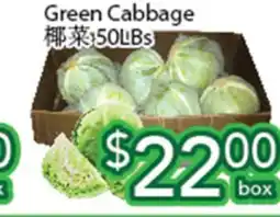 Ample Food Market Green Cabbage offer
