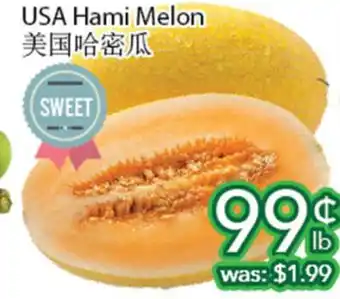 Ample Food Market USA Hami Melon offer