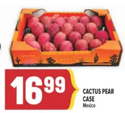 Marché Adonis CACTUS PEAR CASE offer
