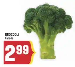 Marché Adonis BROCCOLI offer