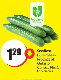 FreshCo Seedless Cucumber Product of Ontario Canada No 1 offer
