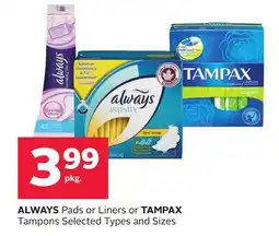 Rexall ALWAYS Pads or Liners or TAMPAX Tampons offer