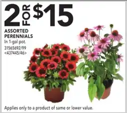 RONA ASSORTED PERENNIALS offer