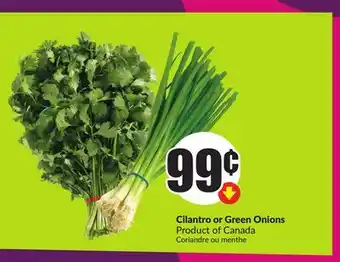 Chalo FreshCo Cilantro or Green Onions Product of Canada offer
