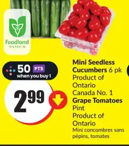 Chalo FreshCo Mini Seedless Cucumbers 6 pk Product of Ontario Canada No. 1 Grape Tomatoes Pint Product of Ontario offer