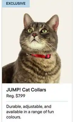 Petvalu JUMP! Cat Collars offer
