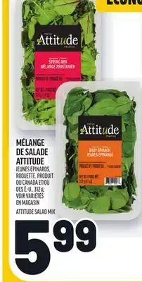 Metro MÉLANGE DE SALADE ATTITUDE | ATTITUDE SALAD MIX offer