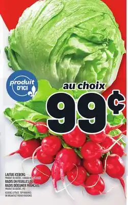 Metro LAITUE ICEBERG | ICEBERG LETTUCE offer