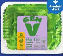 IGA GEN V GREENHOUSE LIVING BUTTER LETTUCE offer