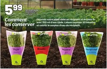 Metro FINES HERBES GOURMA | GOURMA FINE HERBS offer