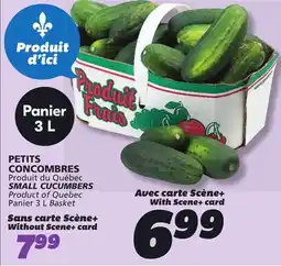 IGA SMALL CUCUMBERS offer