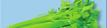 IGA CELERY offer