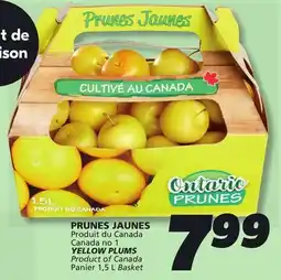 IGA YELLOW PLUMS offer