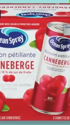 IGA OCEAN SPRAY SPARKLING DRINK offer
