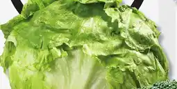 IGA ICEBERG LETTUCE offer