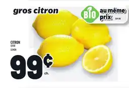 Metro CITRON | LEMON offer